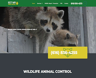 wildlife control Holland MI