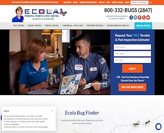 Natural Termite Control Los Angeles