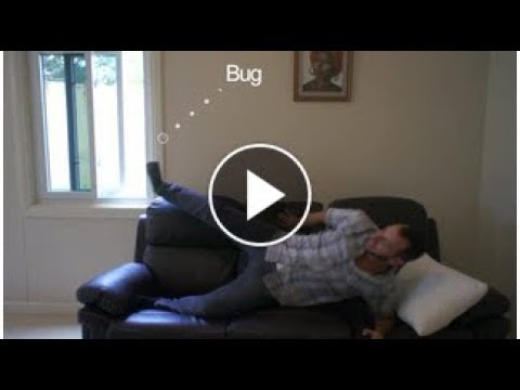 video PEST REPELLER – Pack of 4